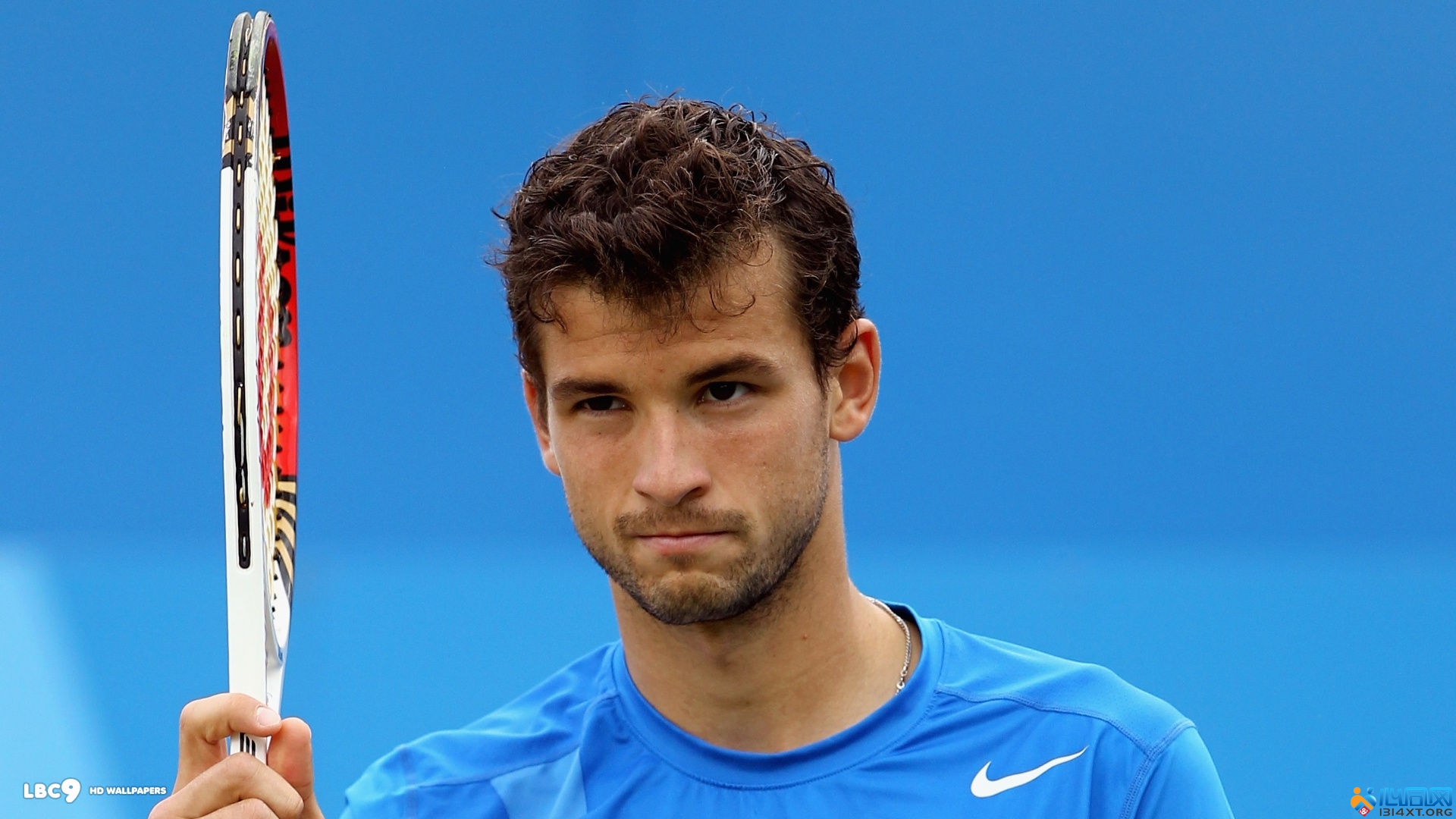 增添了更多 增添了更多