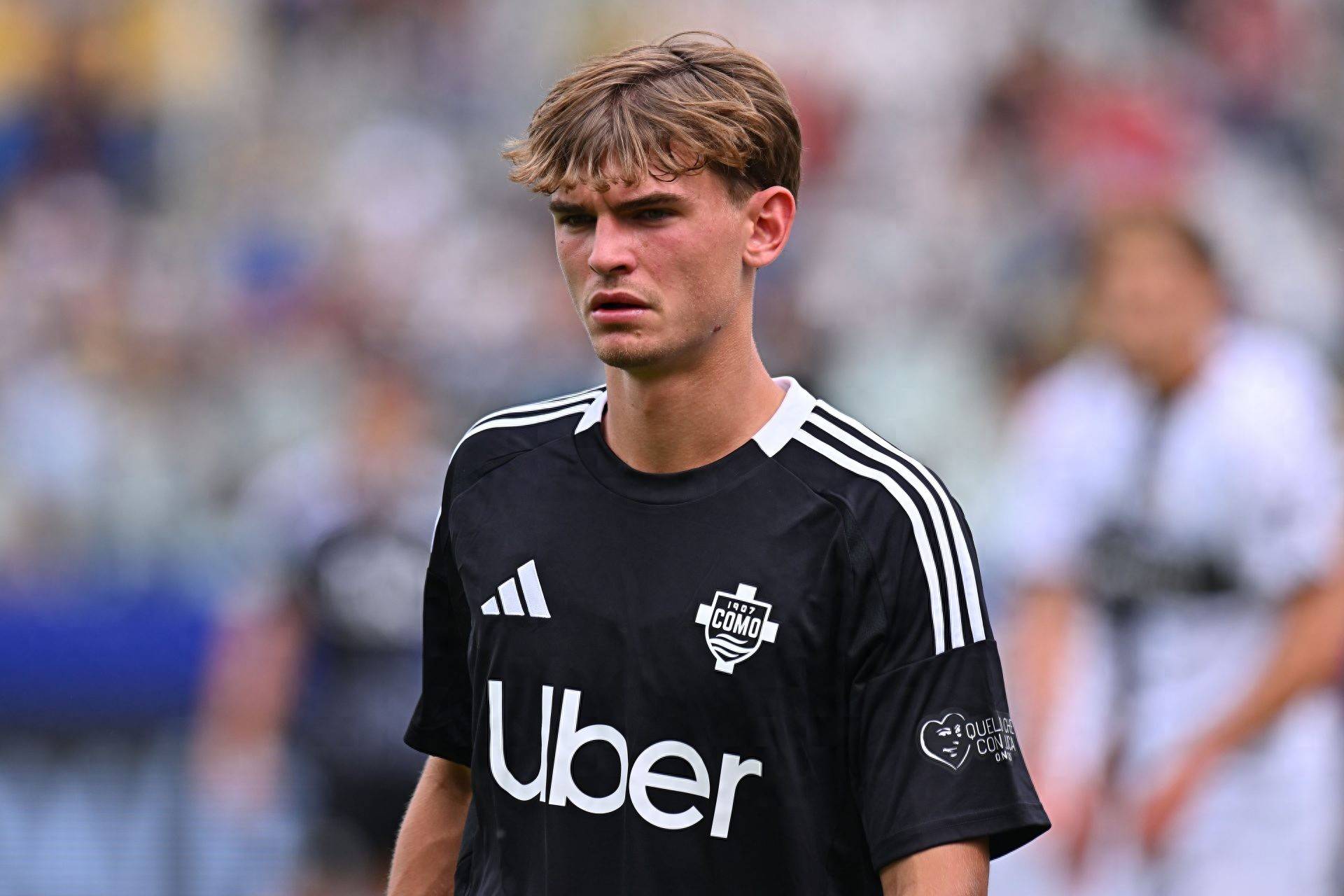 悉心指导 悉心指导